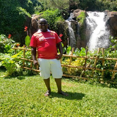 phiman14's profile picture. IT CONSULTANT