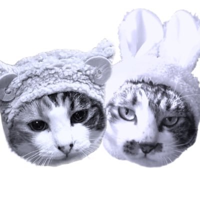 yamyum_earth's profile picture. 