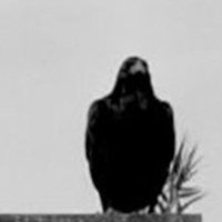 lethes (@letheslefou) 's Twitter Profile