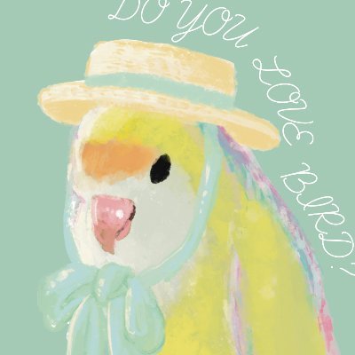 colico@鳥フェス新潟🕊鳥フェス金沢さんのプロフィール画像