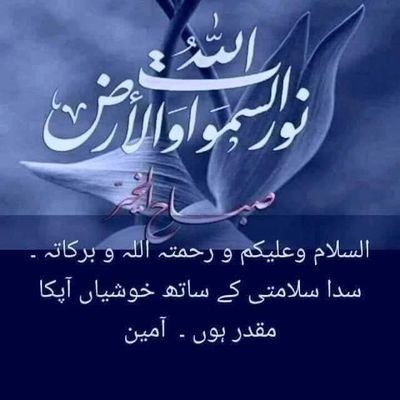 fiazahm87121824's profile picture. Political Analyst, Social activist, educationist, Business consultant