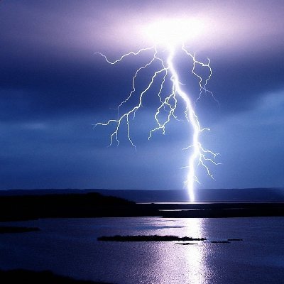Node runner                          
Tester                                   
Content creator