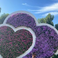 FIRST LADY ♥ (@queentobs) 's Twitter Profile