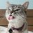 16myx's profile image