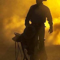 Mark Fenton (@007phantom69) 's Twitter Profile