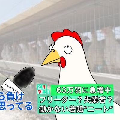 ぷらずまさんのプロフィール画像