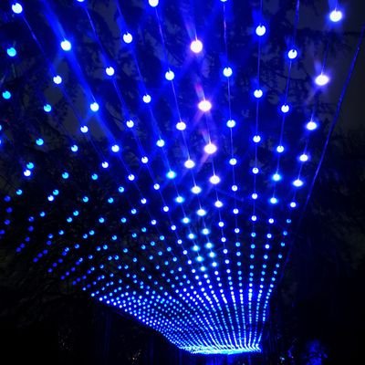 janiepieguy's profile picture. 