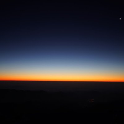 freeswim30's profile picture. 