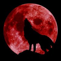 Wolf of WolfStreet | GM 🤑 (@wolfxwolfstreet) 's Twitter Profile