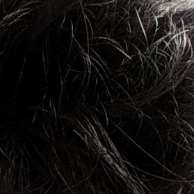 RChampalad's profile picture. 