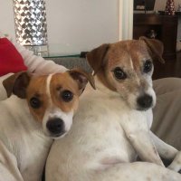 Baby Beatrice & Little Bear (@bellelbear) 's Twitter Profile Photo Baby Beatrice & Little Bear (@bellelbear) 's Twitter Profile Photo
