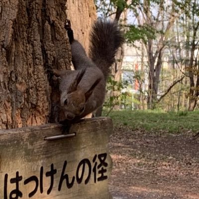 mS0uRXLFQg0ug1Q's profile picture. 