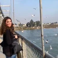 Clara Galtier (@galtierclara) 's Twitter Profile