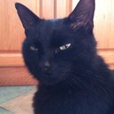 Stuart Duncan - @stuart0866 - Twitter