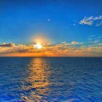 Sev🌹 (@sevgl1966) 's Twitter Profile