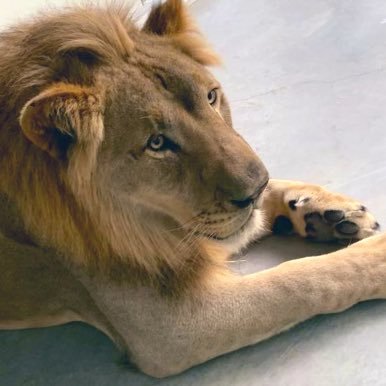 sirarthurtheegg's profile picture. Here for a good time not a long time. Tell the truth or at least don’t lie. #stayhard