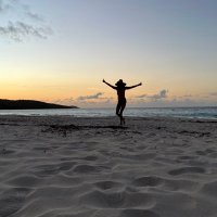 Sandra Mendez Hernandez (@islandmom775) 's Twitter Profile