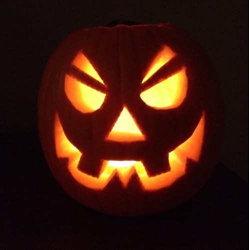 PawsomeCat's profile picture. 