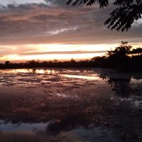 Septyo R. winarto (@erwinsrw__) 's Twitter Profile