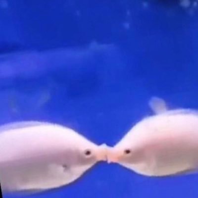 bintboii's profile picture. Your bio