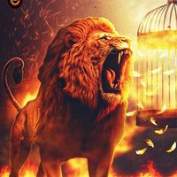 Aslan Kral Erhan (@941a61ebdd3e470) 's Twitter Profile