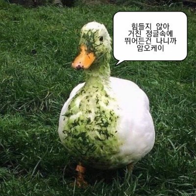소프트웨어를 좋아하는 ….