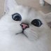 aiden:/ (@aidenpx_) Twitter profile photo aiden:/ (@aidenpx_) Twitter profile photo