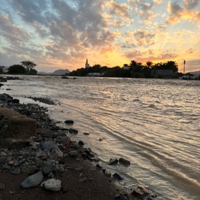 mmdlmdy79895622's profile picture. 