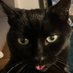 Jules (@julesradfem) Twitter profile photo Jules (@julesradfem) Twitter profile photo