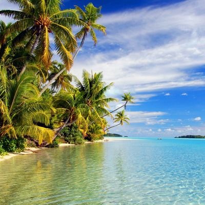 KK10782571's profile picture. 