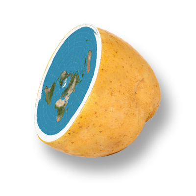 TaterHalf's profile picture. 