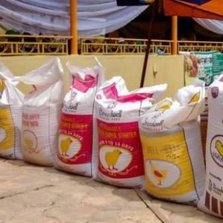 agricbase12's profile picture. Love to care for humanity