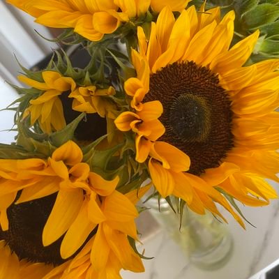 Dazzle19397781's profile picture. 