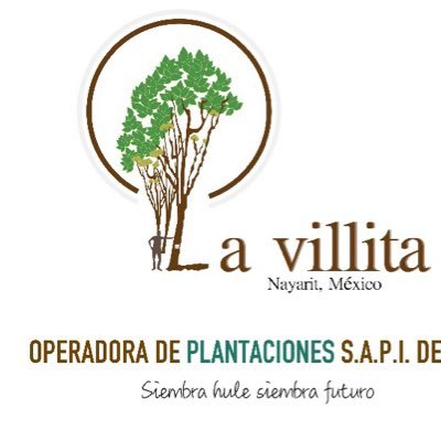Somos La Villita en Tepic, Nayarit, México. Proyectos de inversión en Hule Natural, asegure su futuro y retiro con ganancias aseguradas.