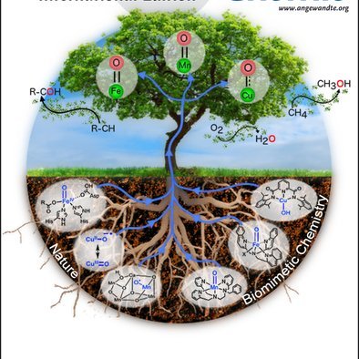 Bio-Inorganic chemistry | Small Molecule Activation | Spectroscopy | Organometallic Catalysis | Energy Research |  
@HumboldtChem