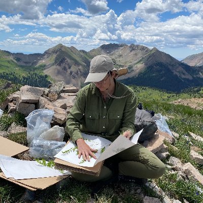 Collections Manager @ the University of New Mexico Herbarium @UNM_MSB. Evening botanist. 🌱