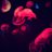 maru_goshi_cat's profile image
