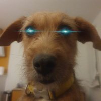 🔥 (@bitpower82) 's Twitter Profile