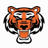 Rawlings Indy Tigers(@indy_tigers) 's Twitter Profile Photo