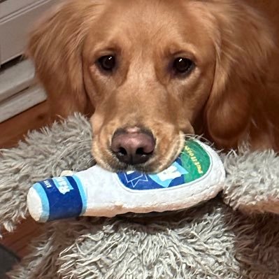 ranchheelll's profile picture. they/them