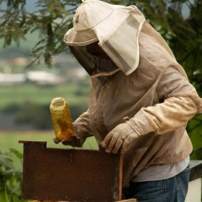 Bees are magic! Not only do they make yummy honey, but beeswax and propolis have healing properties. 

Specialist balms for Horses 🐎 & Dogs 🐕 coming soon...