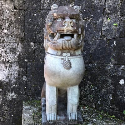 政治に無関心は政治家の思うツボ。政治への関心、重要性を伝えるべく発信してます。投票率が上がれば必ず日本も政治も変わります。当面は印象操作で国民を騙す維新と対峙。フォロー歓迎。
