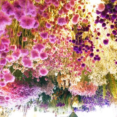 minyonjang's profile picture. 