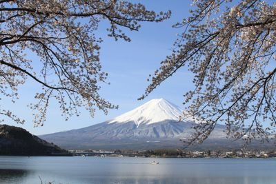 c4OBW8MyvI8gXUq's profile picture. 皇統護持＿自衛隊に感謝＿撮り歩くのが好き＿