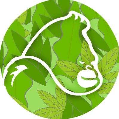 Your Internet Community for wellness, technology & environment activism enthusiasts! 🦾🌱 🌎 🦍 Discover our products @gorillaematcha 🍵