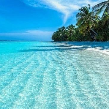 cleilton_ce's profile picture. 