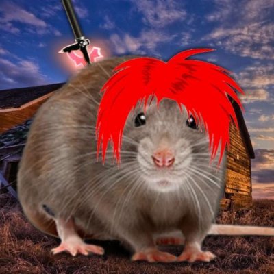 Howdy ya'll, I'm Matthew the Rat. Remember, if ya'lls get cocky durin' anythin', then ya's askin' for a heiny whoopin' ya hear?