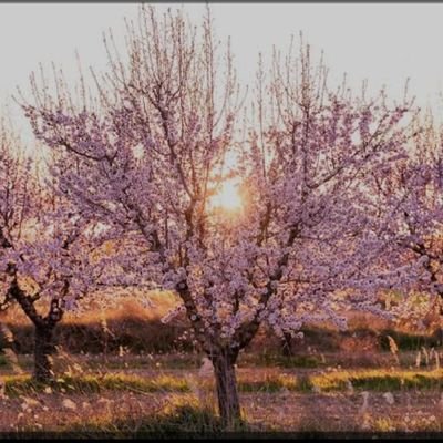 Tayjesusvive's profile picture. E conhecereis a verdade e a verdade vos libertará.