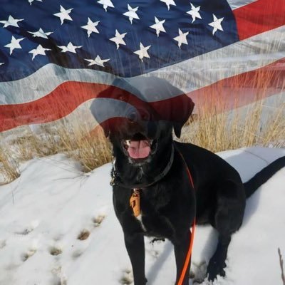 Proud Patriot 🇺🇸 Dog mom 🐾In God We Trust🙏🏻💥1st & 2nd Amendment💥 CCW, Trump is my President🇺🇸🇺🇸🇺🇸💥