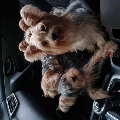 eidyg's profile picture. 